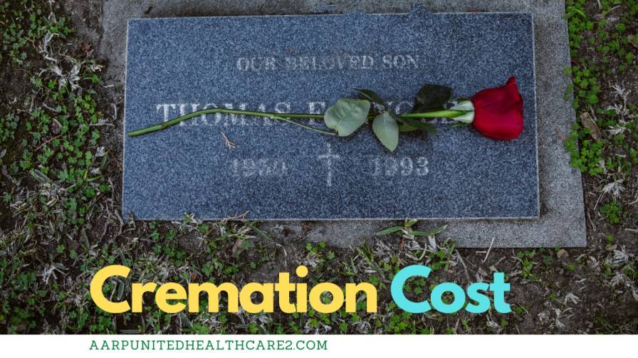  Prepaid Cremation Plans Cost